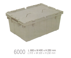 BOX MINIMARKET TYPE RPI6000